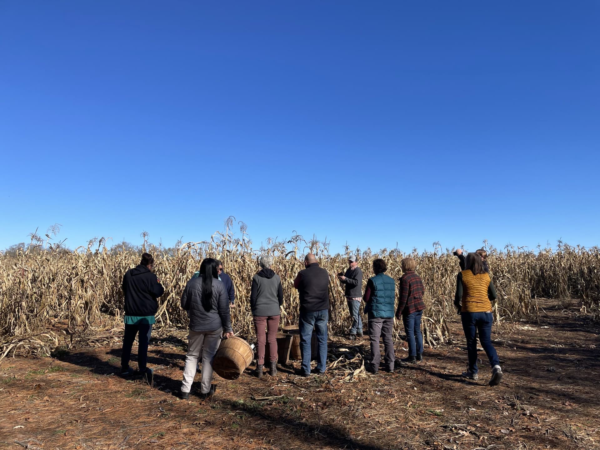 Indigenous Tree Fruit Pruning Workshop Scheduled for Menominee County Feb. 9