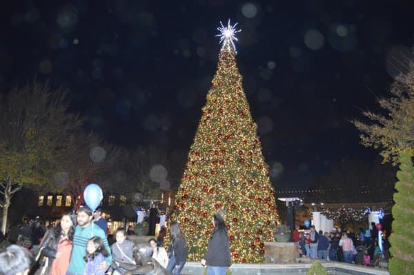 Holland Stille Nacht Returns, Community Gathers For Tree Lighting
