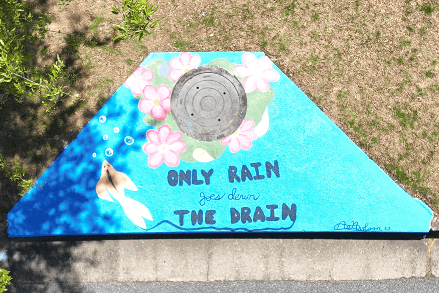 Forsyth County invites students to storm-drain art contest to protect Lake Lanier