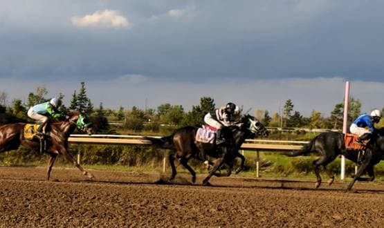 Fort Erie Race Track Opens 129th Thoroughbred Season on Sunday, May 31