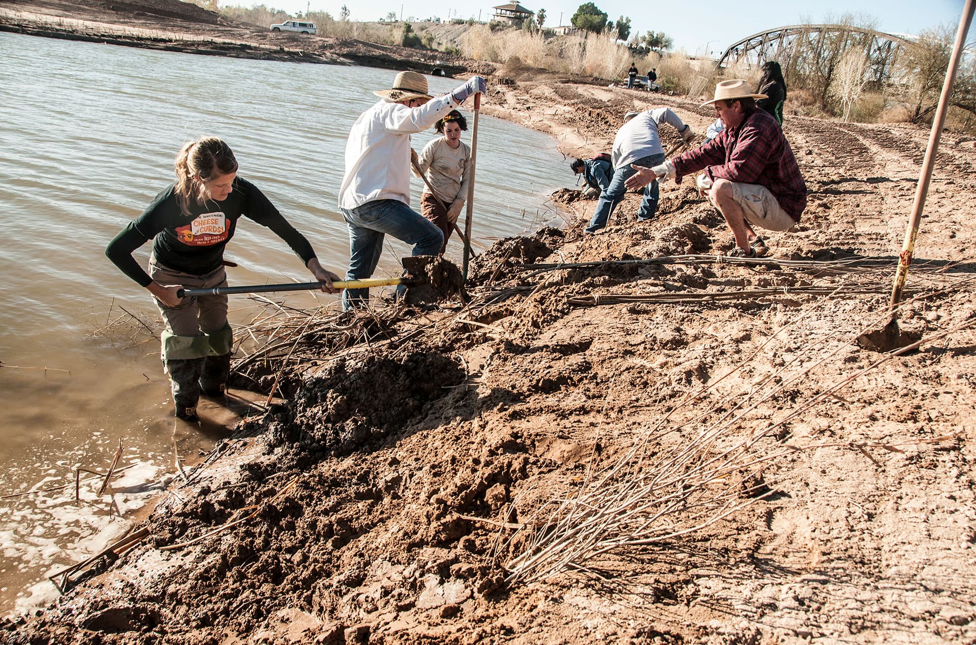 Cocopah Tribe Harvests Native Plants to Restore Colorado River Lands