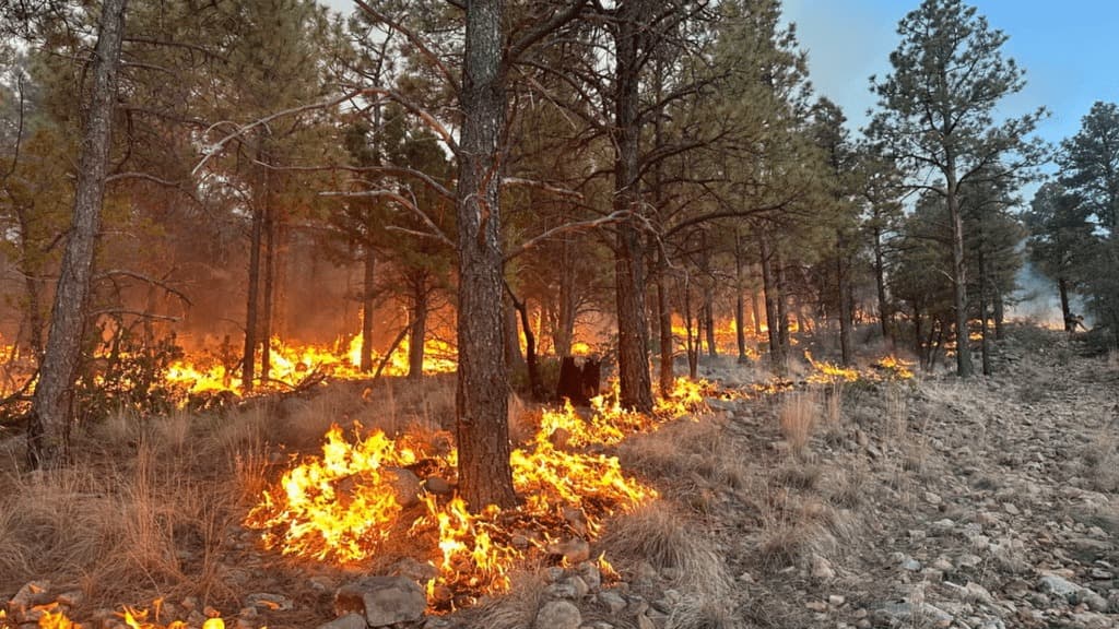 McKinley County urges residents to prepare for wildfire evacuations