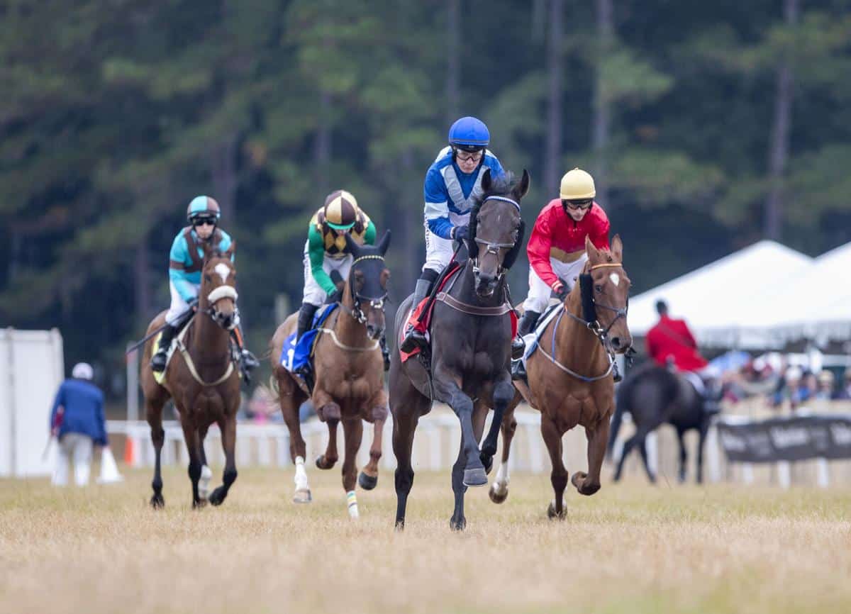 South Carolina Senate Finance Committee Advances Equine Advancement Act 12-6