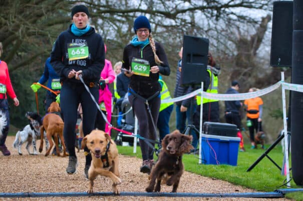 Hyperenergetic Dogs Dash Through Gatton Park at Run Reigate Canicross 2026