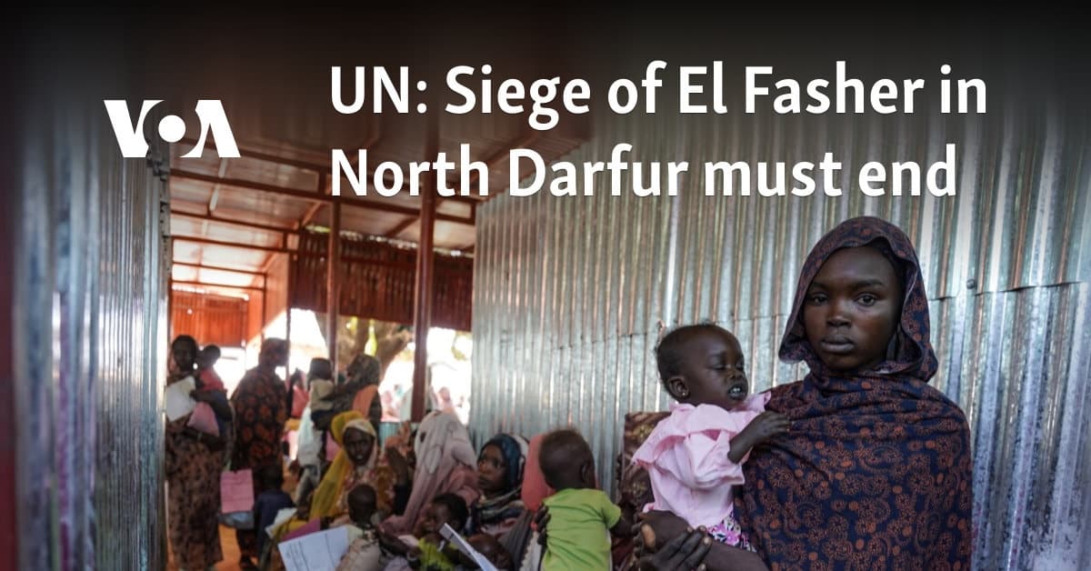 UN fact-finding mission says el-Fasher attacks show hallmarks of genocide