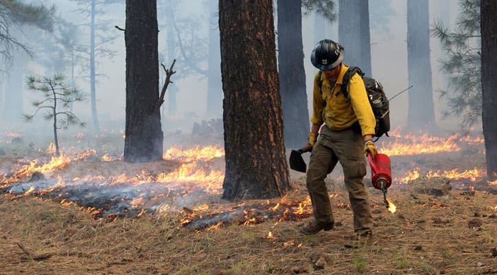 Apache-Sitgreaves Prescribed Burns Planned Near Springerville Starting March 18