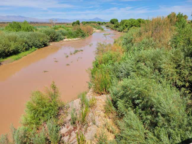 Friends of the Lower Colorado River Seeks Volunteers for March Cleanup Event