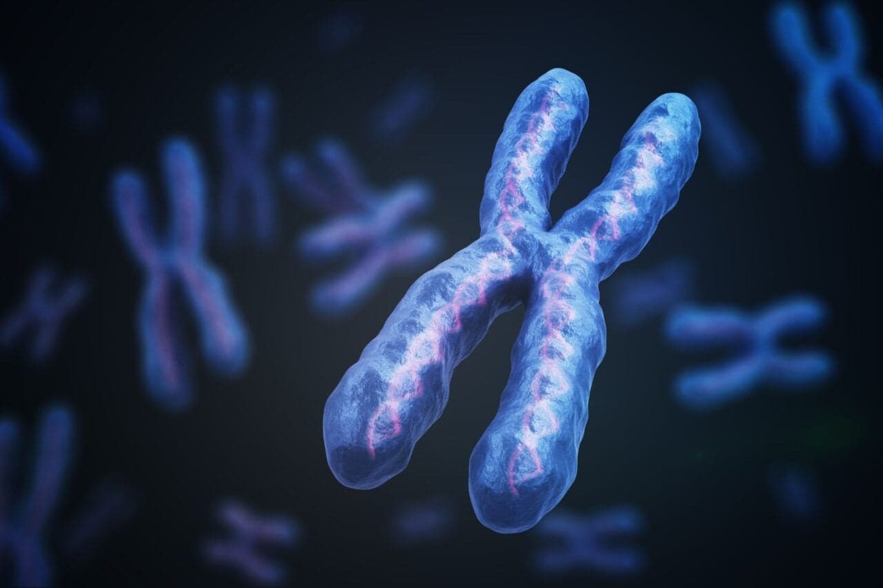 Modified CRISPR boosts chromosome-level approach to Down syndrome treatment