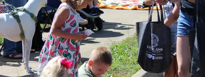 Goochland Chamber Plans May 16 Parade, Festival at Sports Complex