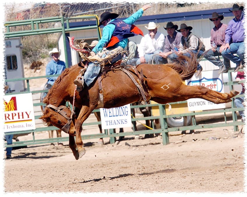 OPSU rodeo alumni returning as pickup men for Guymon Pioneer Days