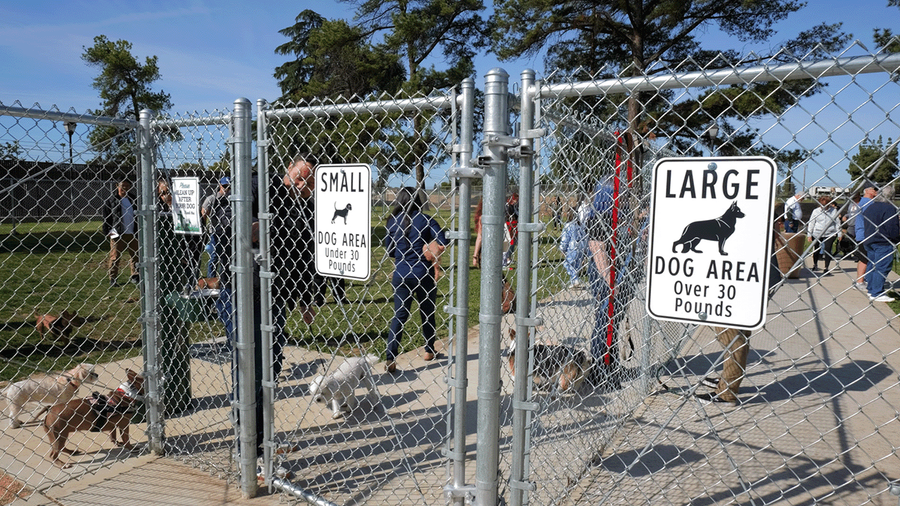 Clovis rotates closures for dog park turf upgrades and reseeding