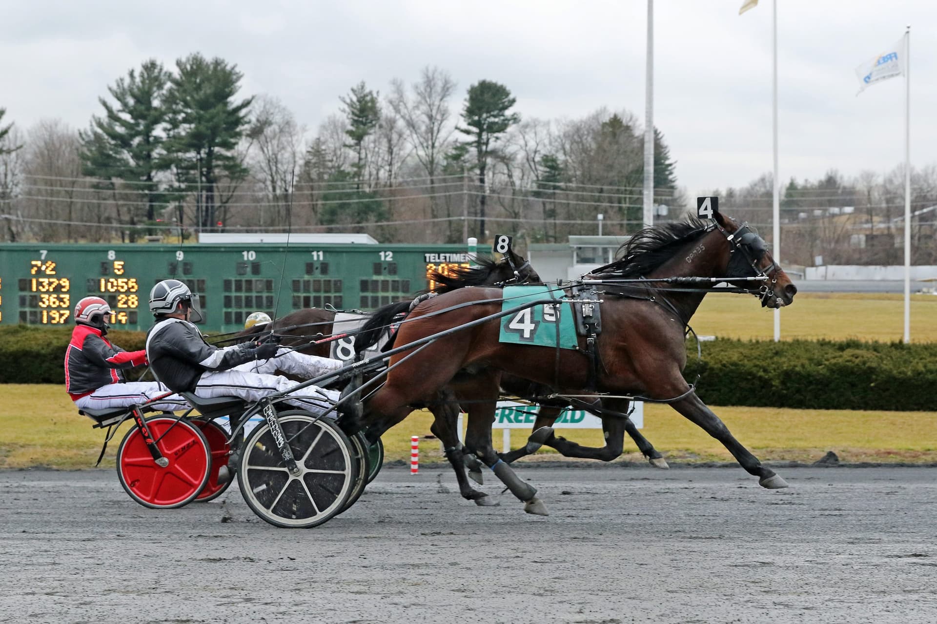 Saudi Arabia Eyes Major International Trotting Events, Faces European Calendar Hurdles