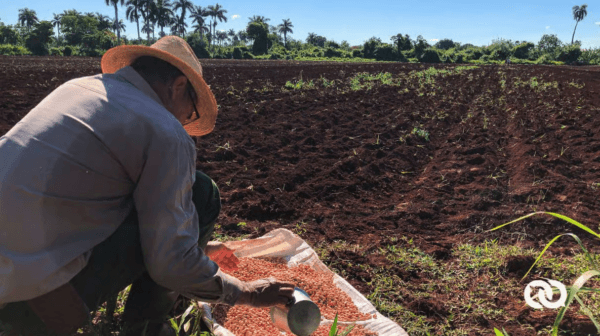 Cuba revises farm rules again as food production collapse deepens