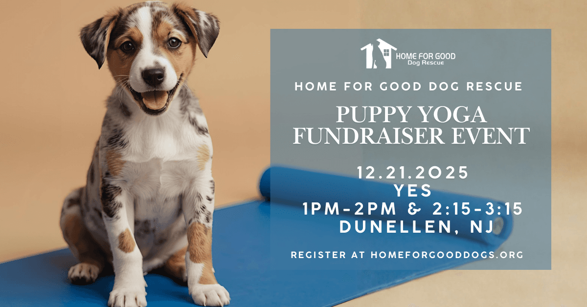 Home for Good Dog Rescue Hosts Puppy Yoga Fundraiser to Aid Adoptions