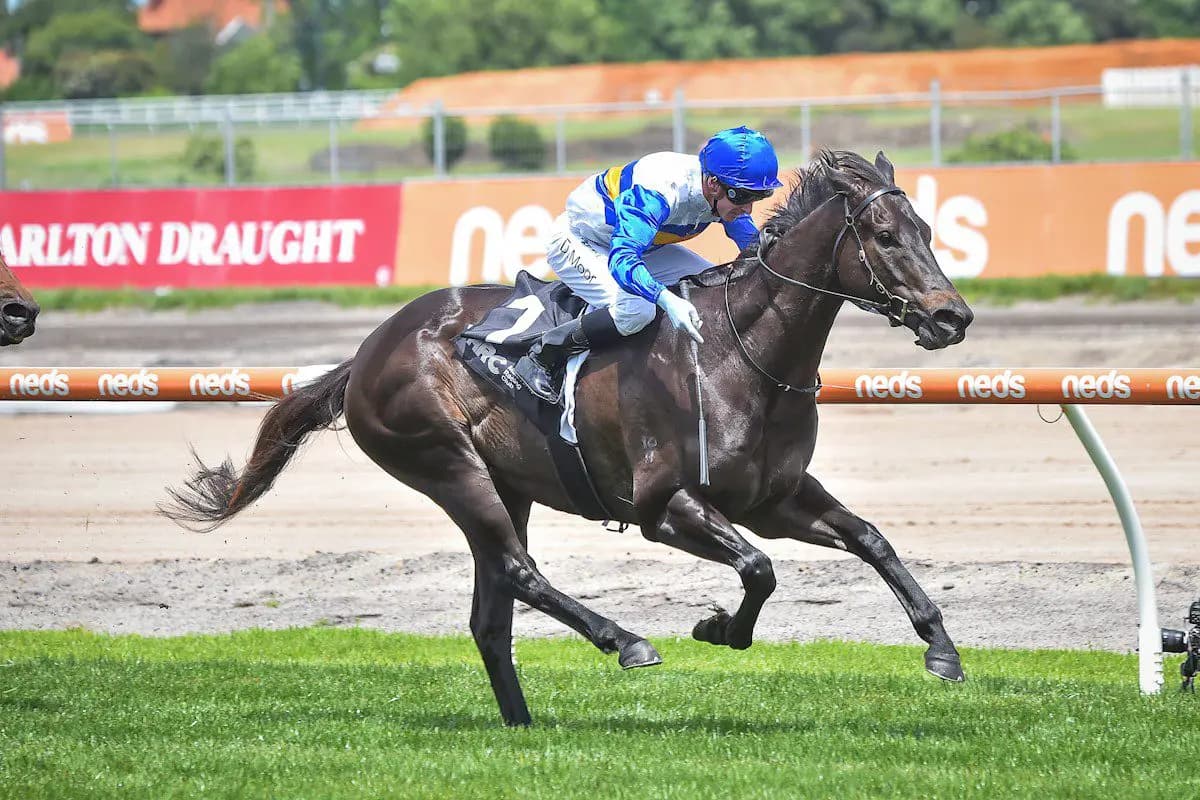 Alderson sends Jigsaw to Auckland for Group 1 Railway after McEwen win