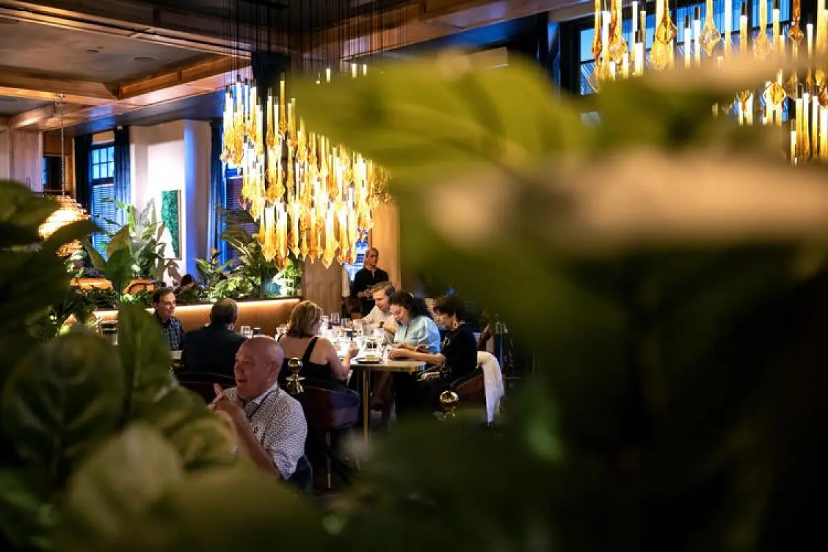 V Modern Charleston bets on fresh pasta, wood-fired flair, lively dining room
