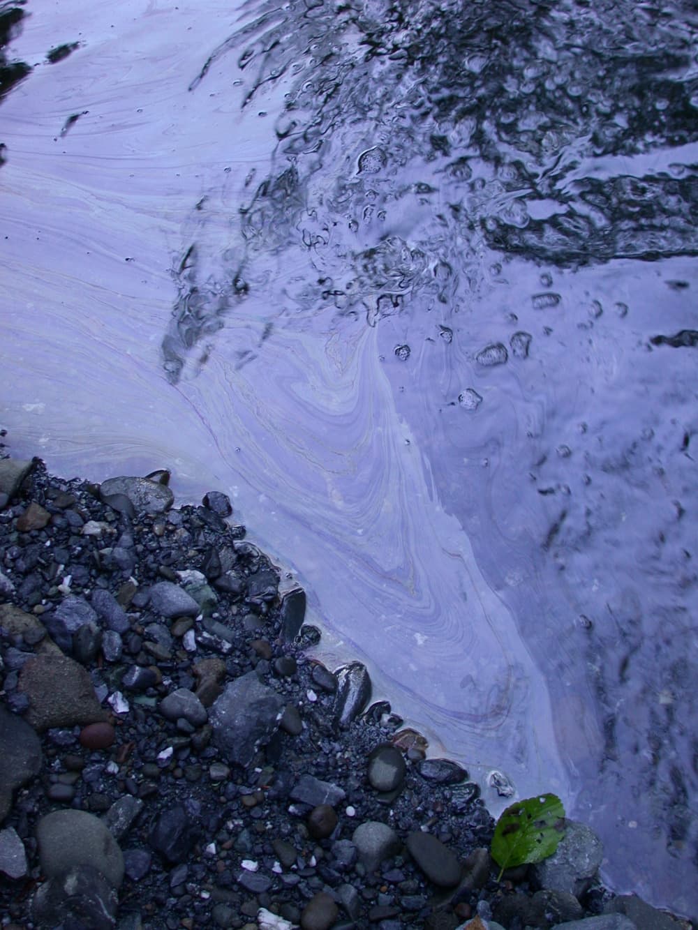 Diesel Spill Near Woodley Island Marina Prompts Booms, Investigation