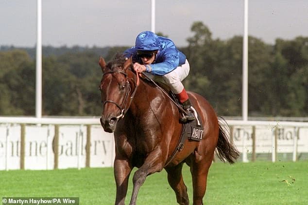 Jockey Vincent Colgan Banned Eight Months After Cocaine Metabolite Test Fails