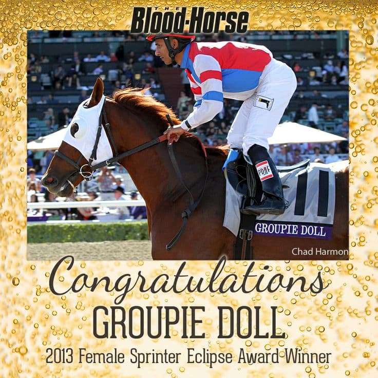 Groupie Doll retires from broodmare duties at Whisper Hill Farm