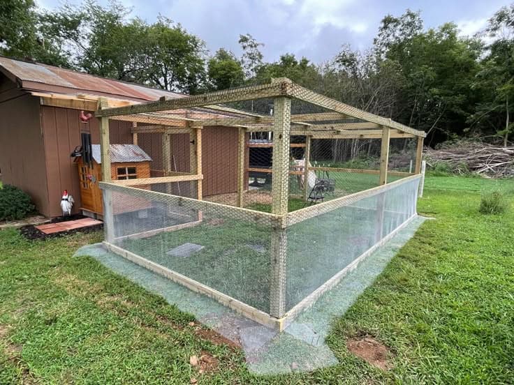 MSN guide shows beginners how to build an easy chicken coop
