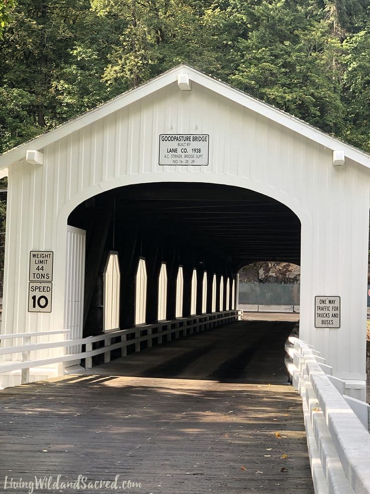 Lane County Covered Bridges Offer Nature Access, Health and Equity Questions
