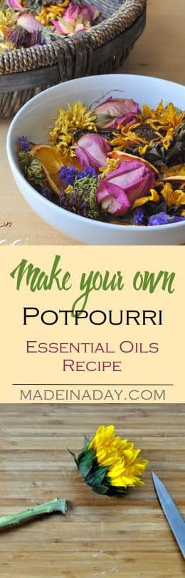 7 Easy Ways to Turn Fading Valentine’s Petals into Budget Treasures