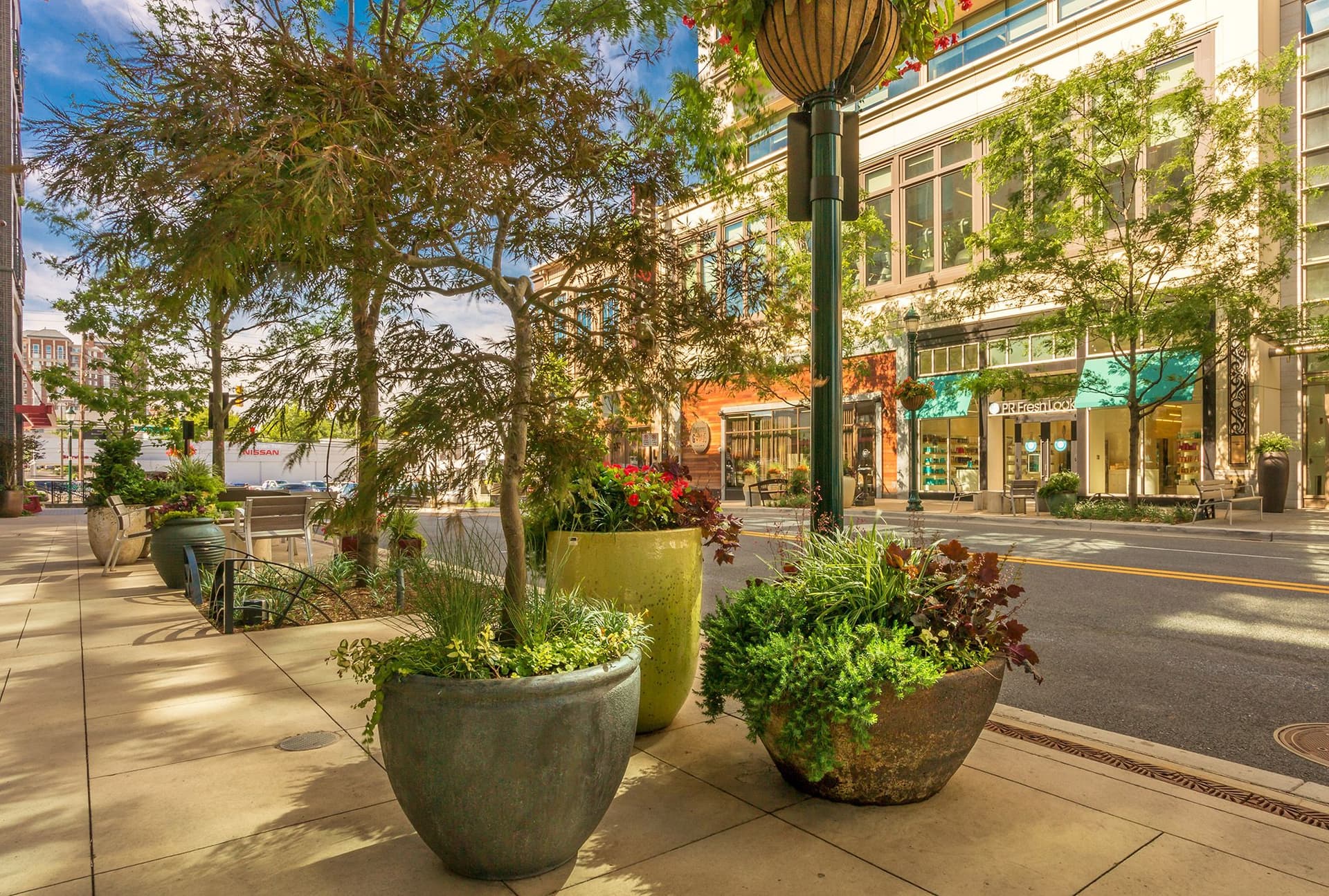 Traverse City planter project adds native plants to downtown streetscapes