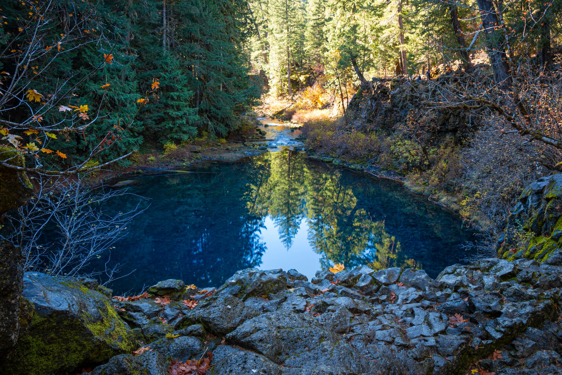 Swimmer dies after rescue at Blue Pool on McKenzie Highway