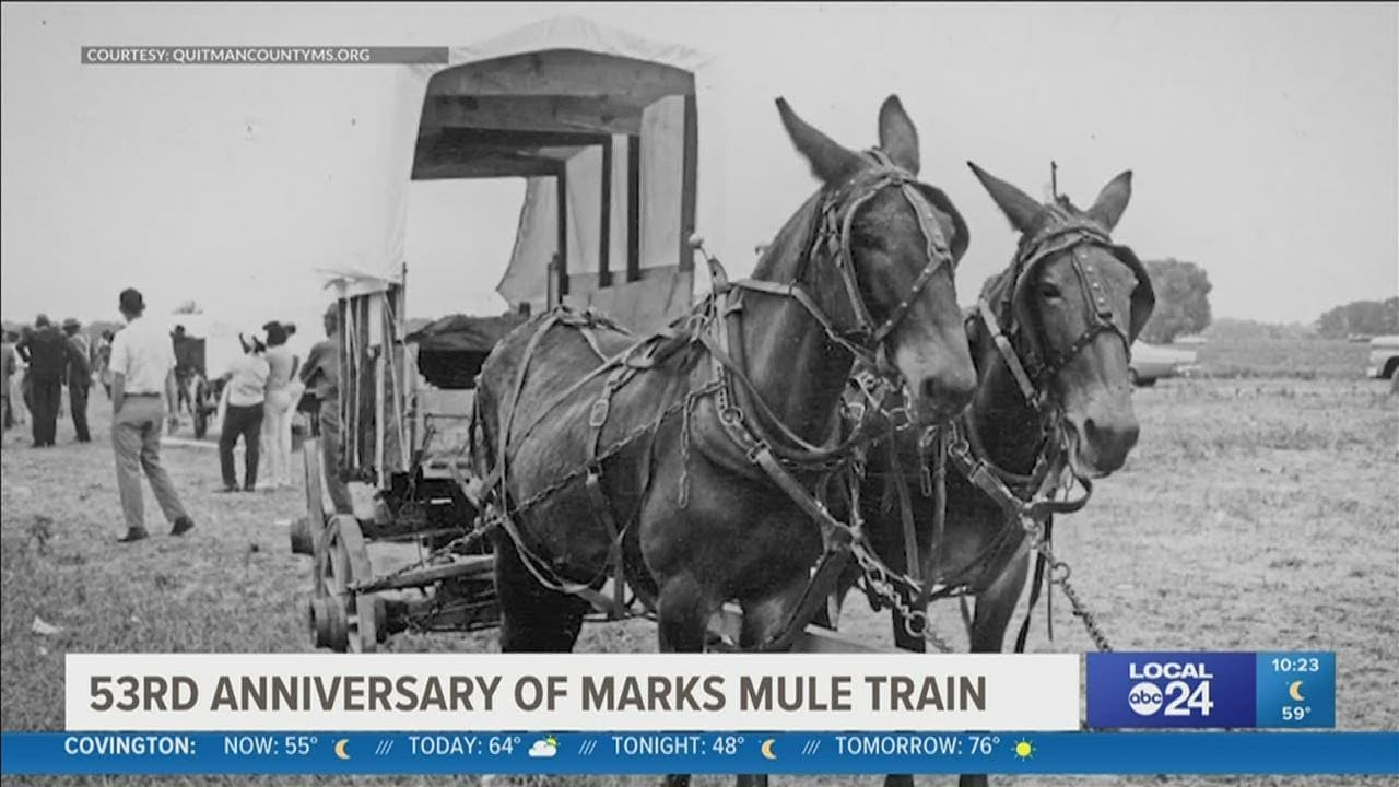 Marks Mule Train site and Mules and Blues Festival drive heritage tourism momentum