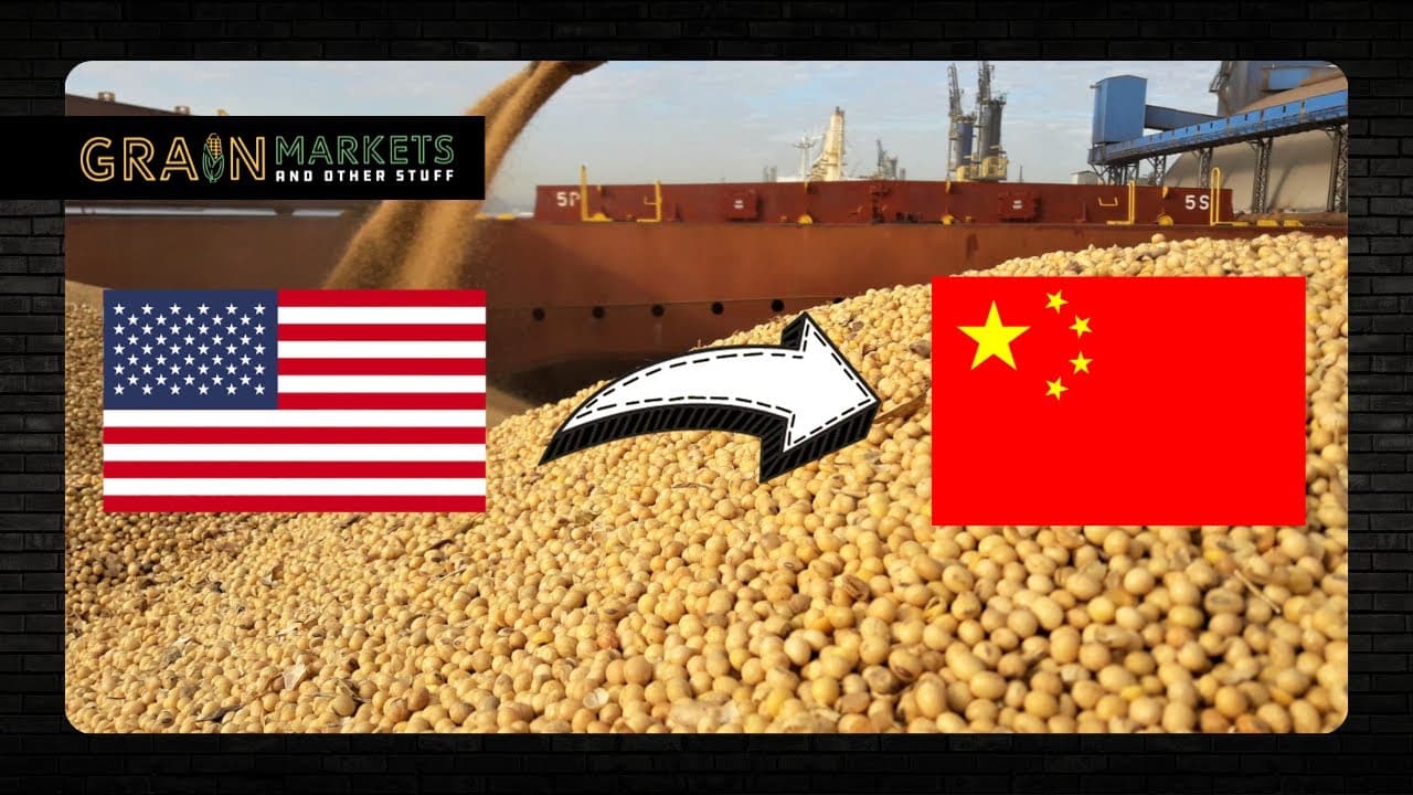 China soybean purchases proceed on schedule, U.S. Treasury says