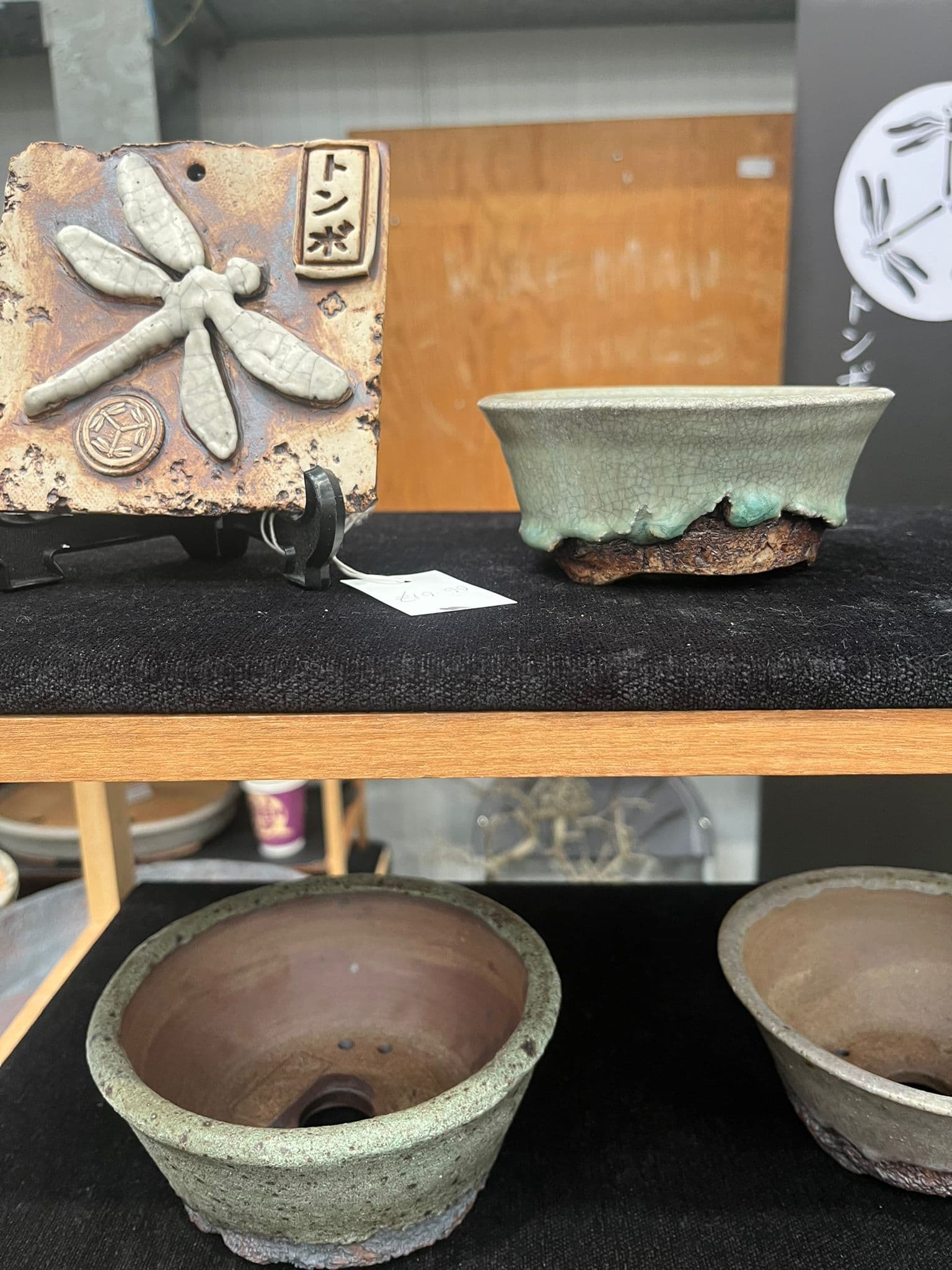 Bonsai Fest 2026 Newark Draws UK Collectors with Demos, Trade, and Top Show Trees