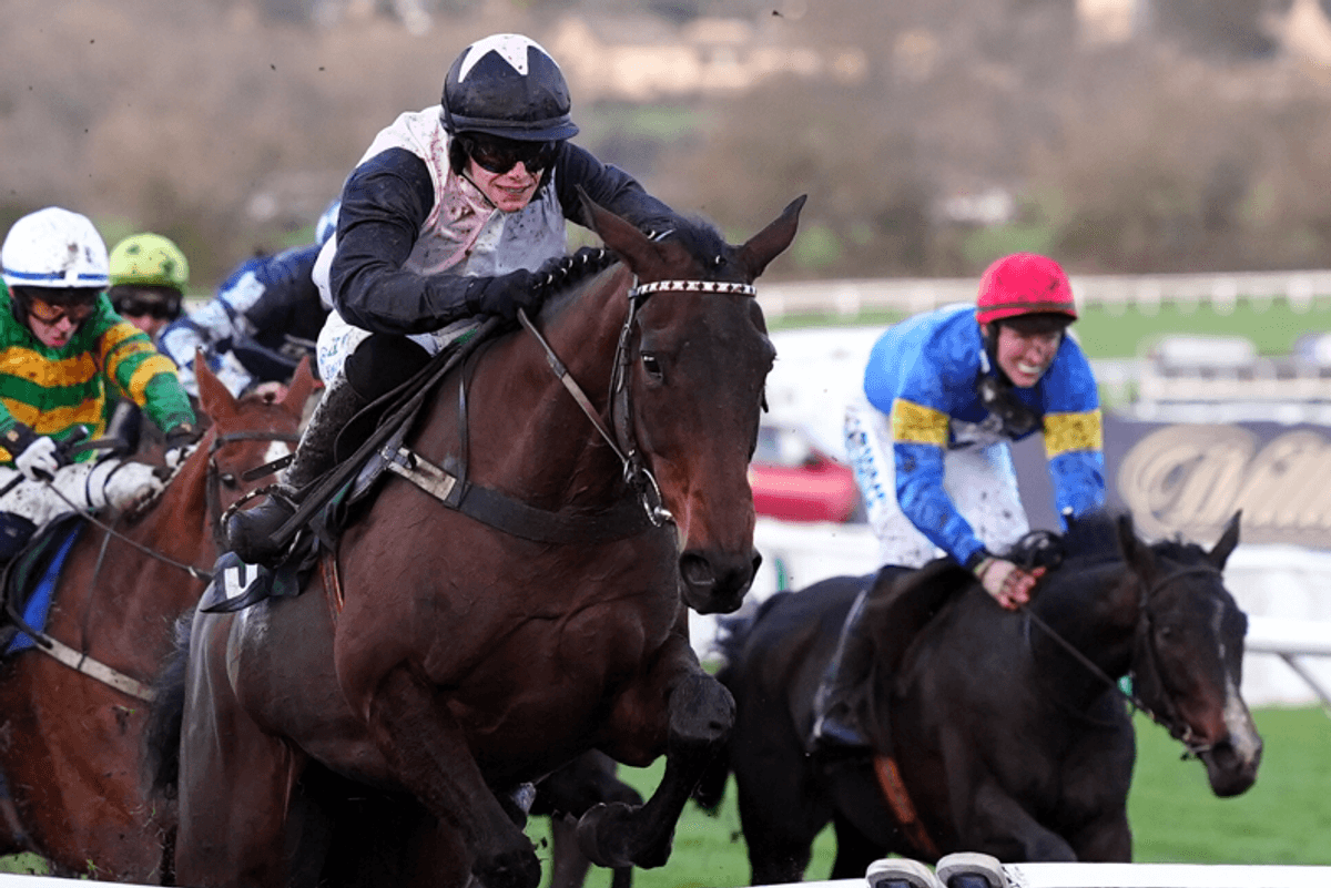 Saint Le Fort Dies at Cheltenham, Third Horse Lost at Festival