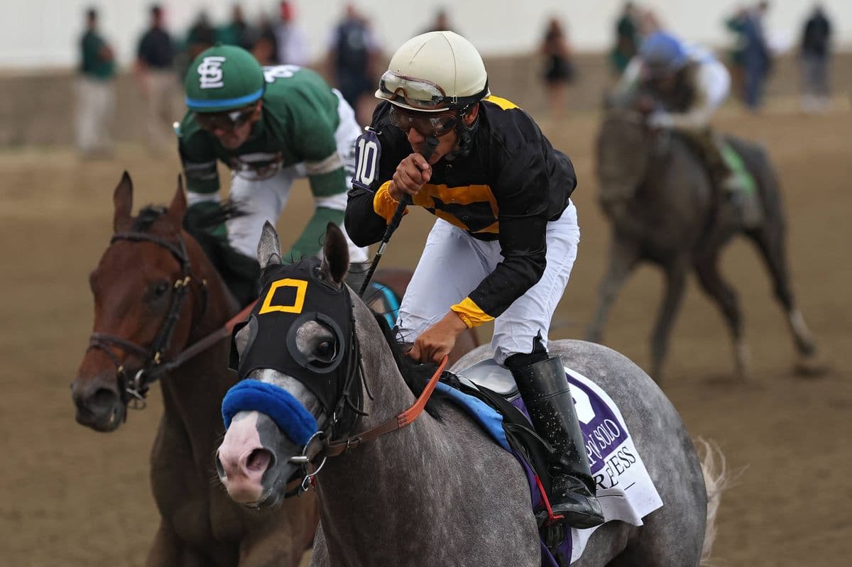 PETA raises whip concerns after Paco Lopez’s Preakness win with Napoleon Solo