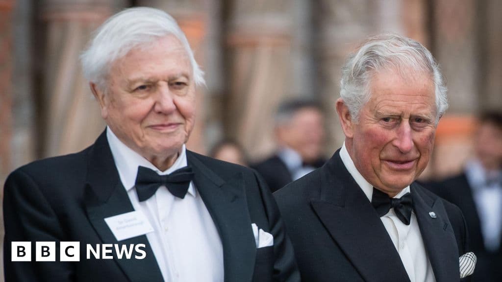 King and wildlife deliver birthday message to Sir David Attenborough at 100