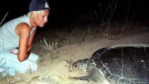 Lebanese turtle conservationist Mona Khalil dies after Israeli air strike