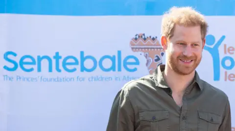 Prince Harry Sued for Defamation by Charity He Co-founded in 2006