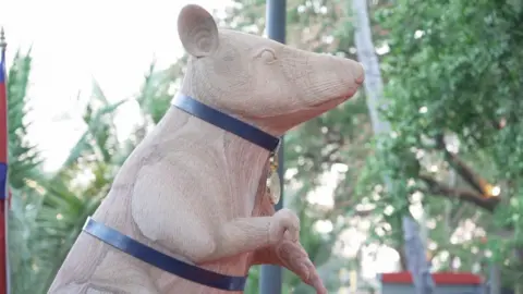 Hero Landmine-Sniffing Rat Honored With Statue After Detecting 100 Mines