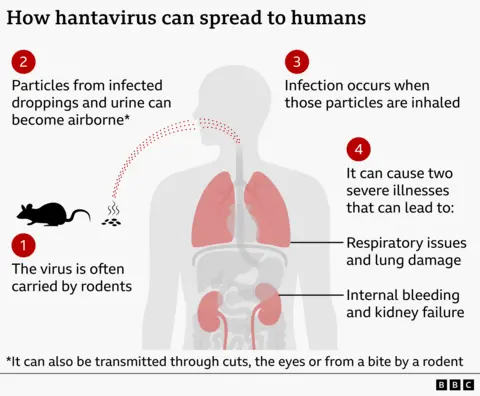 U.S. repatriates cruise passengers after hantavirus outbreak, public risk remains low