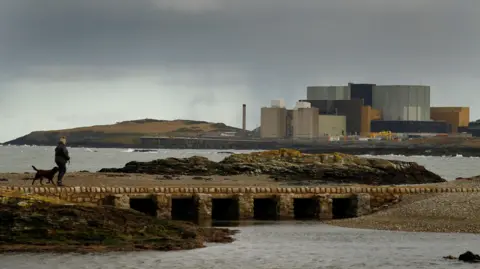 Wylfa chosen for UK's first small modular reactor nuclear power station