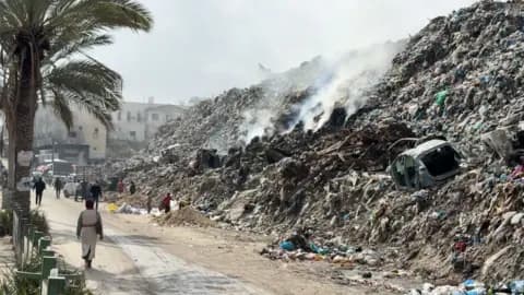 Pests invade Gaza camps, biting children and raising disease fears