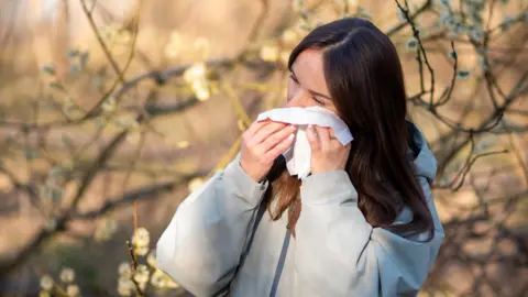 Climate Change Lengthens Europe’s Pollen Season, Hay Fever Symptoms Worsen