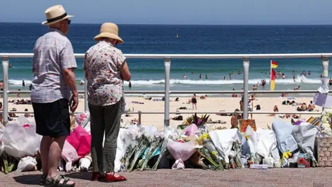 Royal commission urges national gun buyback after Bondi terror attack