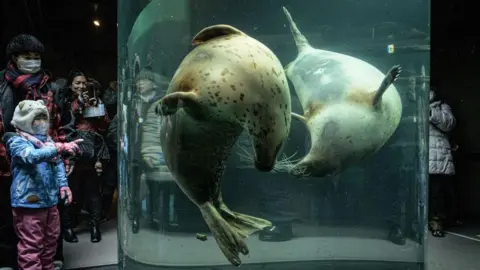 Asahiyama Zoo delays reopening as police probe possible body-abandonment case