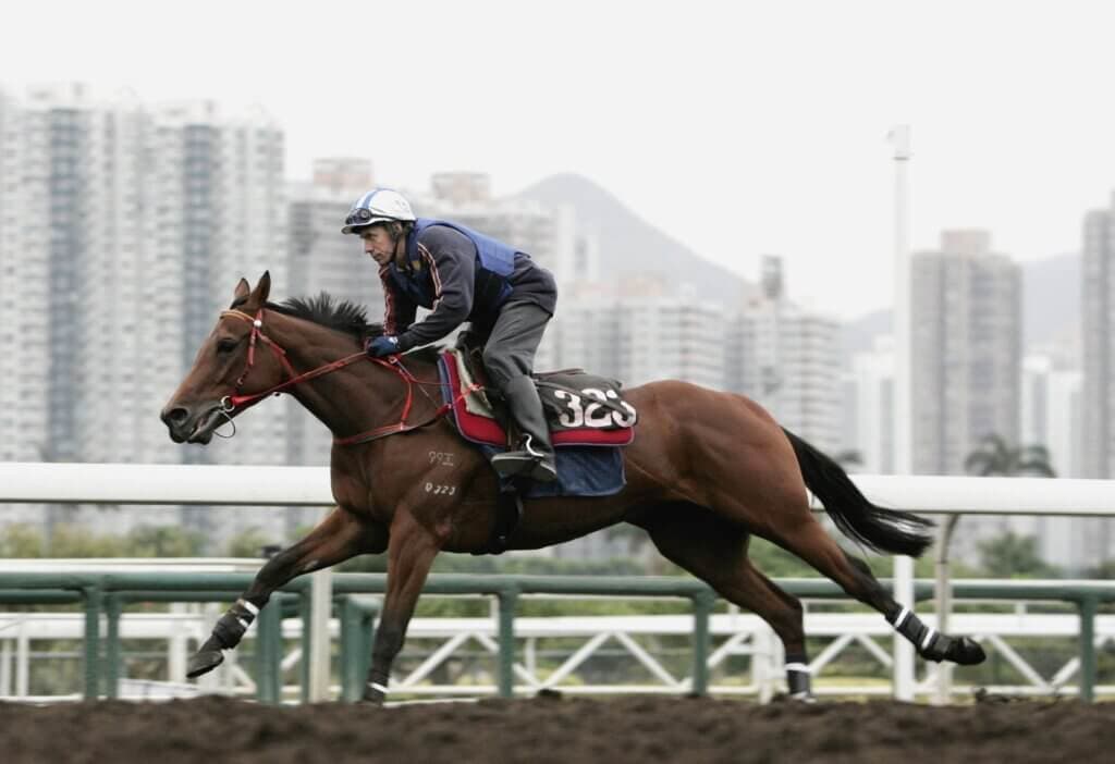 HKJC Releases Sha Tin Veterinary Report; Win Speed Scheduled for Exam