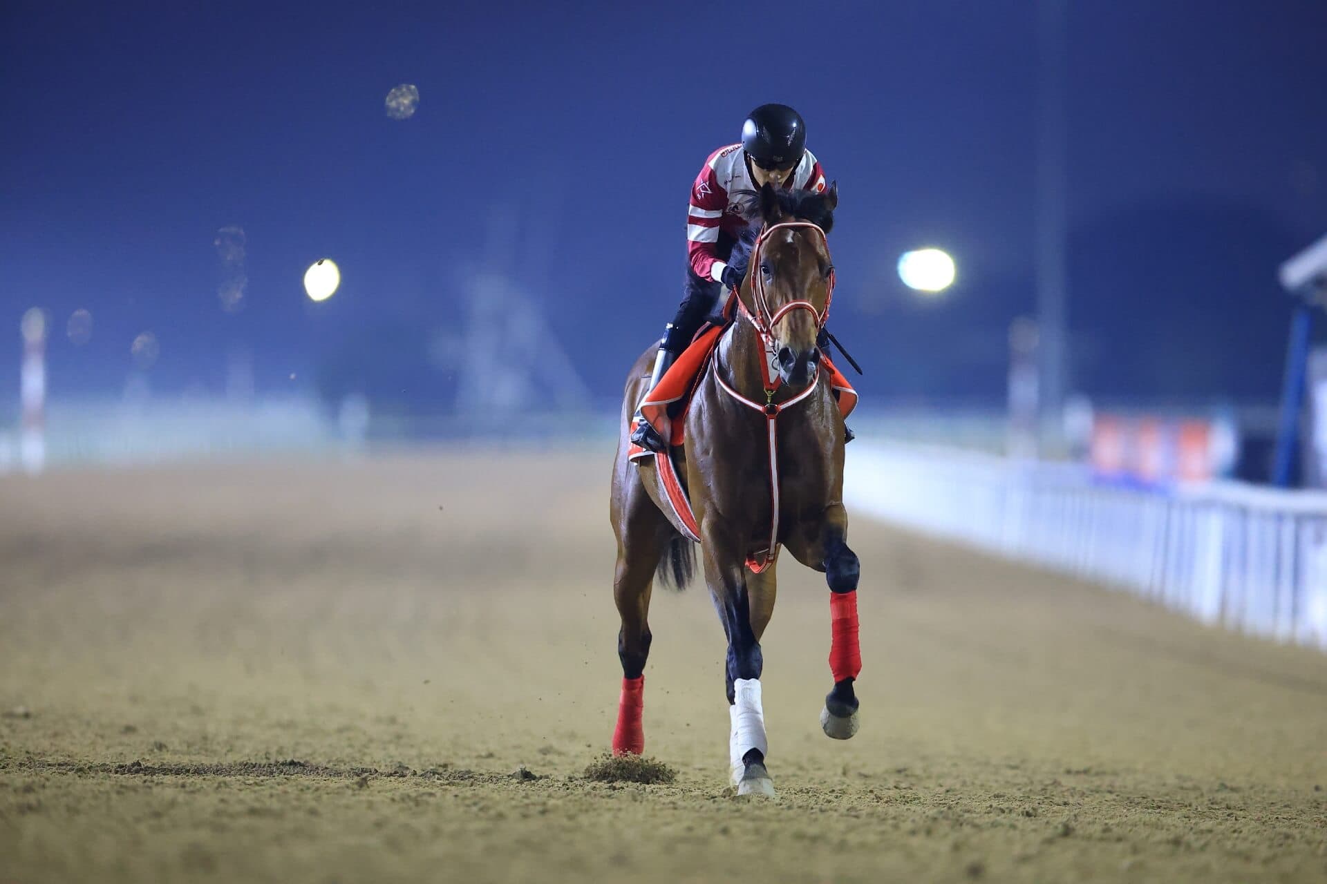 Global Stars Converge at Meydan for 30th Dubai World Cup Night