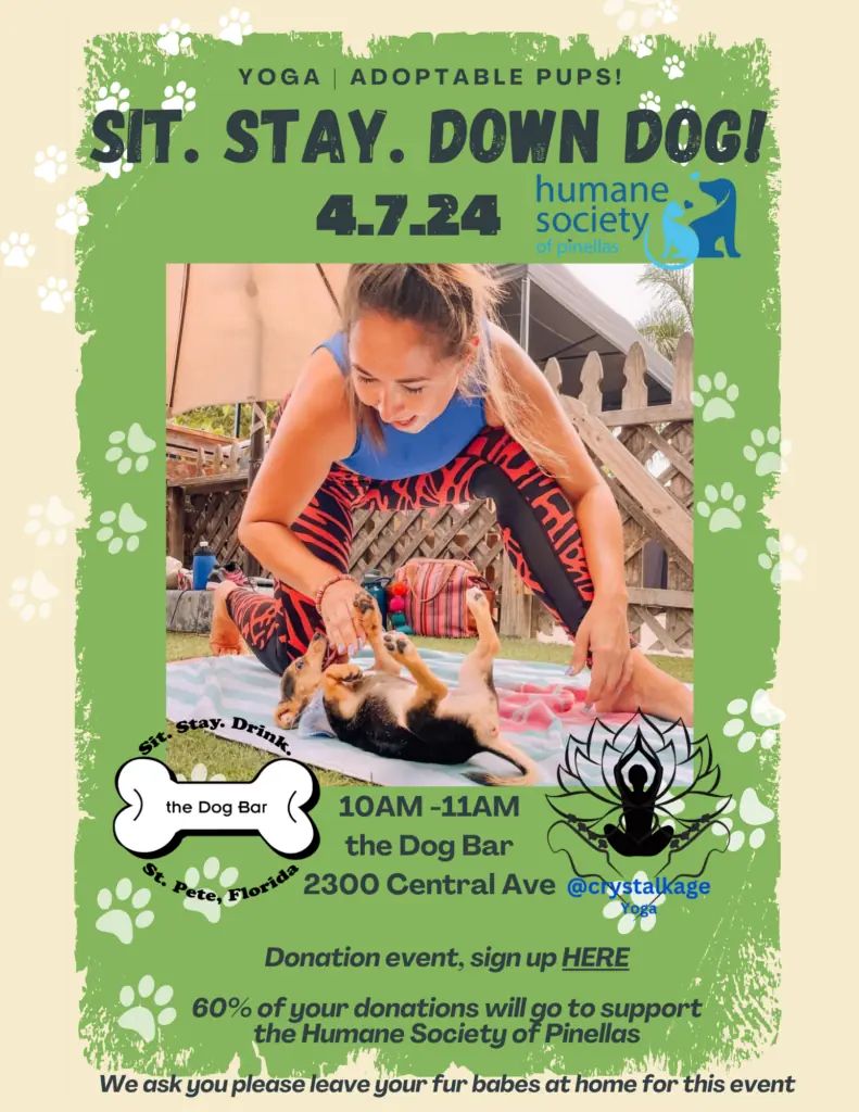 Dog Yoga at St. Pete Bar Supports Shelter Puppies, Socializing