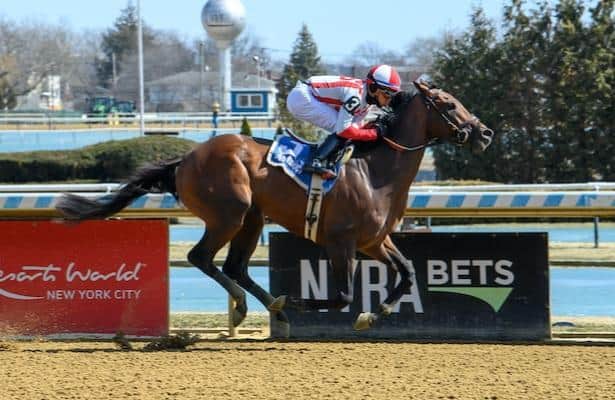 Gulfy, newcomer-owned colt, heads to key Belmont Stakes prep at Aqueduct