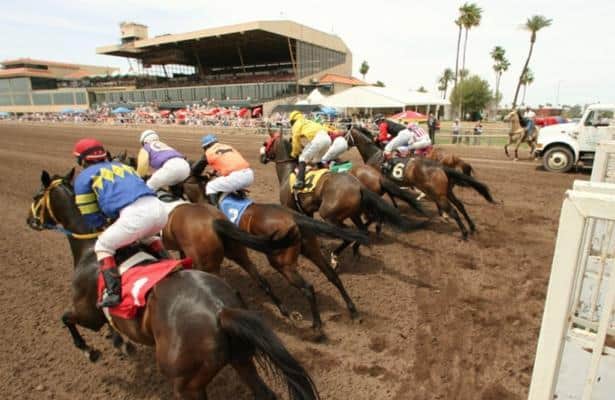 Distant Fleet Rallies Wide, Upsets Phoenix Gold Cup in Desert Heat