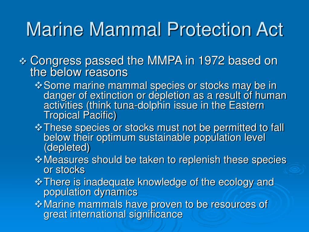 Conservation Groups Seek Court to Enforce MMPA Tuna Import Rules