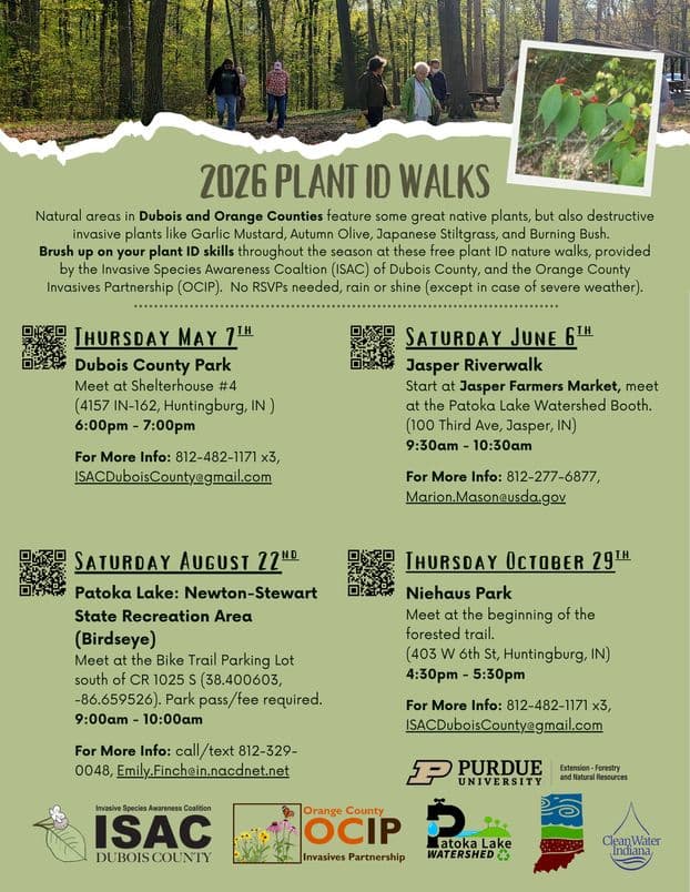Free plant identification walks begin Thursday in Dubois County Park
